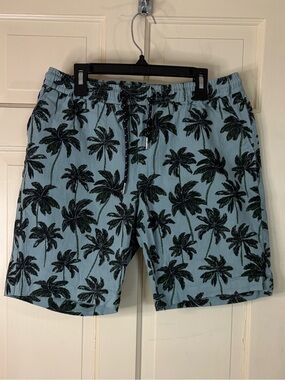 Public Record Blue w/ Palm Trees Cotton  Shorts Men’s Size Medium Beach Travel